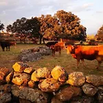 Country house La Fragua