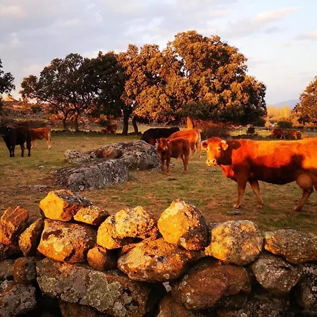 La Fragua * Villar de Corneja