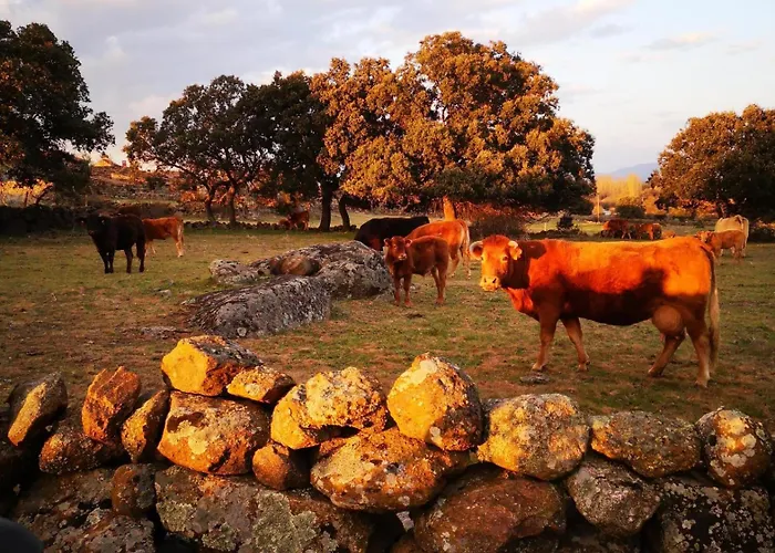 La Fragua * Villar de Corneja